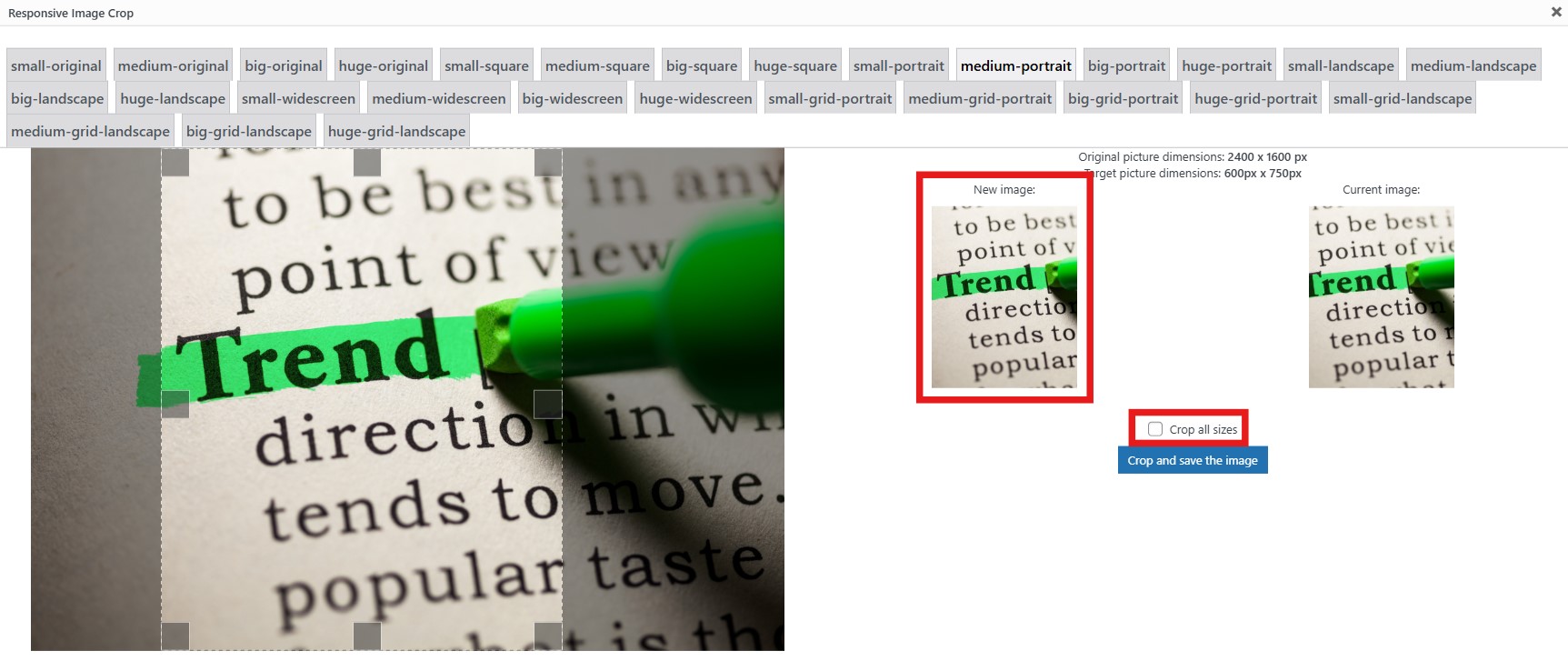 screenshot of an image cropping tool demonstrating a good crop position
